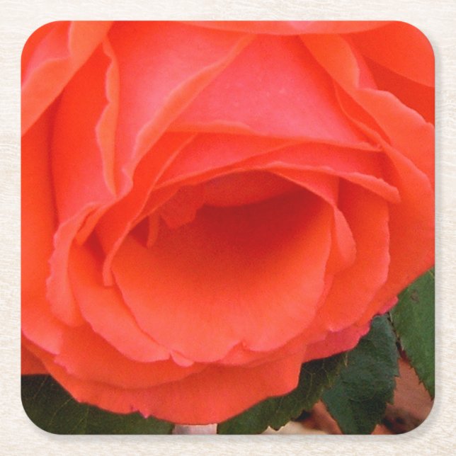 Red Rose of Summer Coaster (Front)