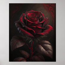 Red rose on a dark background