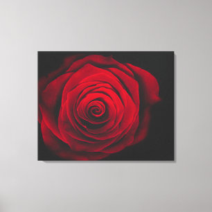 Red rose on black background vintage effect canvas print