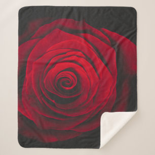 Red rose on black background vintage effect sherpa blanket
