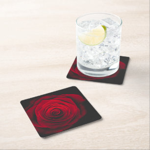 Red rose on black background vintage effect square paper coaster