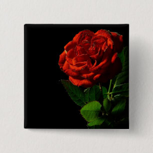 Red Rose on Black Floral 15 Cm Square Badge