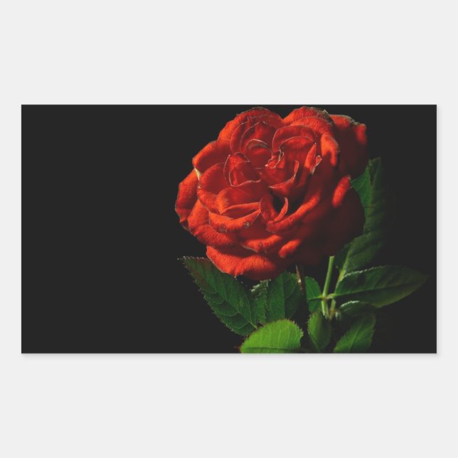 Red Rose on Black Floral Rectangular Sticker (Front)