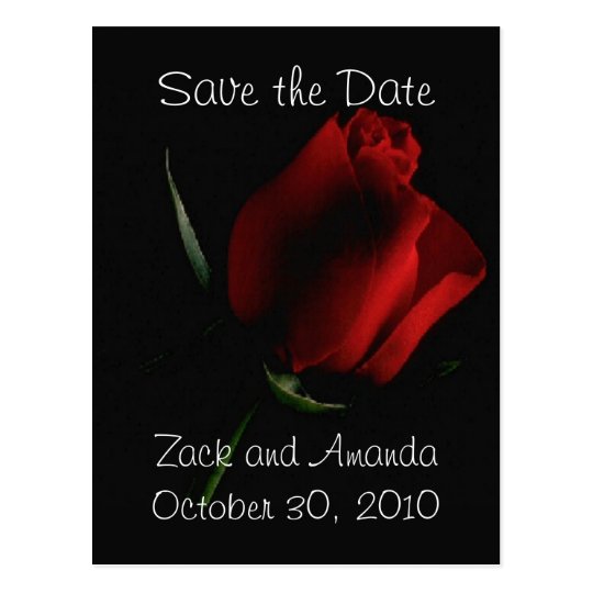 Red Rose on Black- invitation Postcard