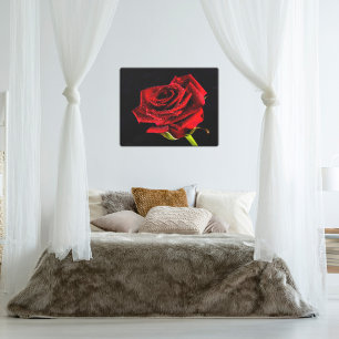 Red rose on black with water droplets photo canvas print