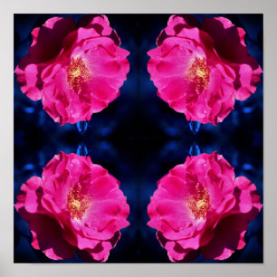Red Rose On Blue Tint Abstract Flower   Poster