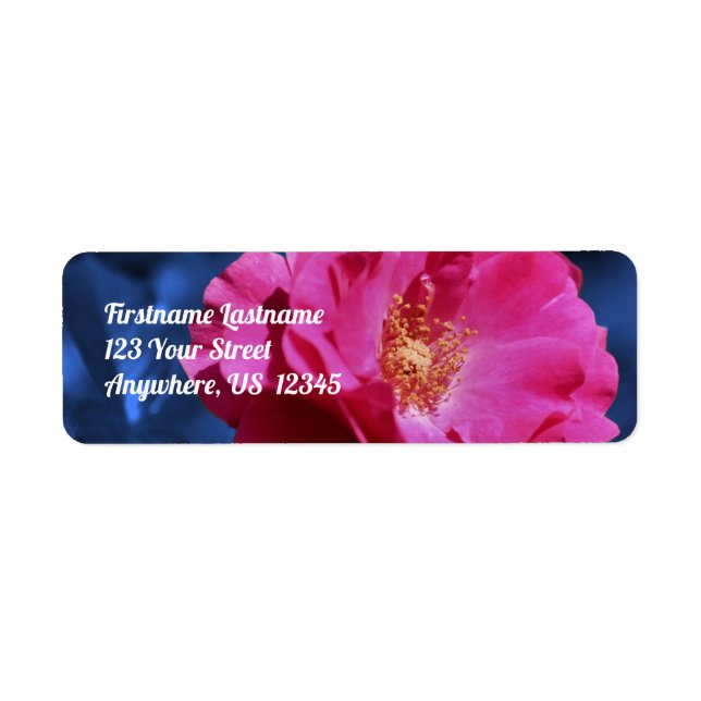 Red Rose On Blue Tint Flower Address (Front)