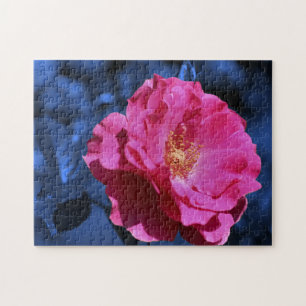 Red Rose On Blue Tint Flower Art Jigsaw Puzzle