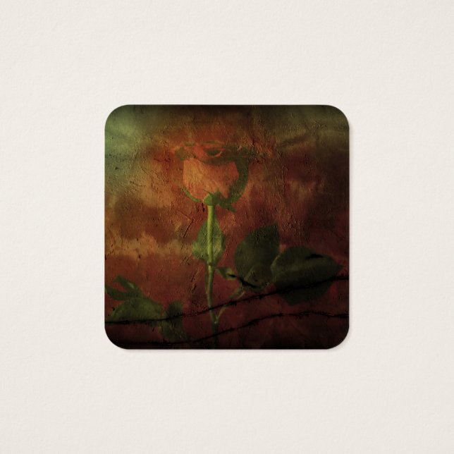 Red rose on grunge background (Back)