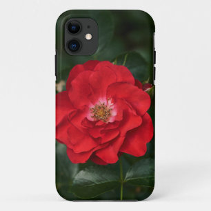 Red Rose P6568 iPhone 11 Case