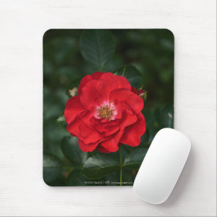 Red Rose P6568 Mouse Mat