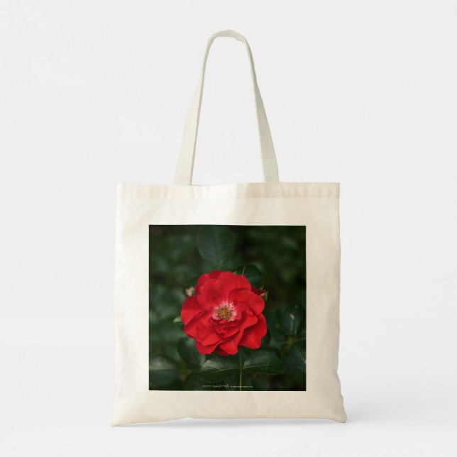 Red Rose P6568 Tote Bag (Back)