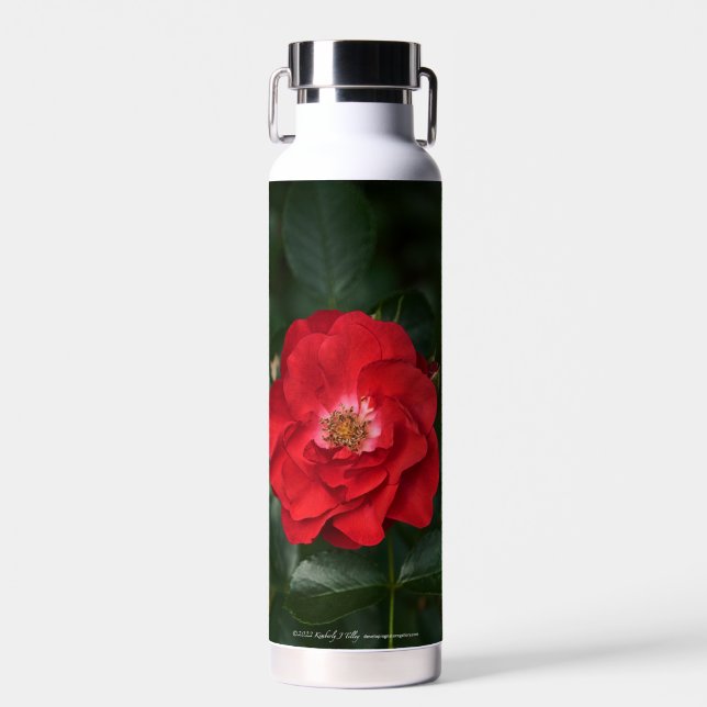 Red Rose P6568 Water Bottle (Front)