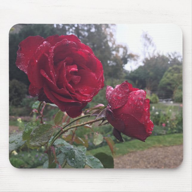 Red Rose Pair Mouse Mat (Front)
