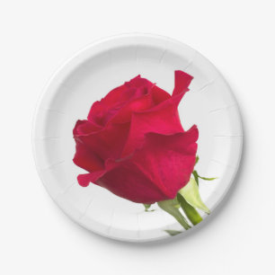 Red rose paper plate