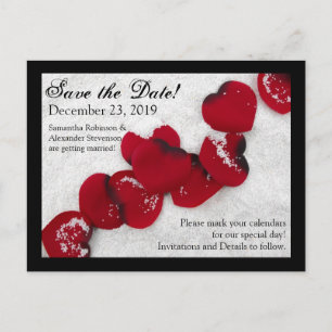Red Rose Petals in Snow, Winter Wedding Announcement Postcard