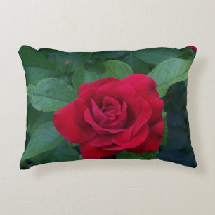 Red Rose Photo Decorative Cushion