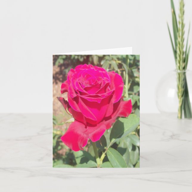 Red Rose Photo Folded Note Card (Front)
