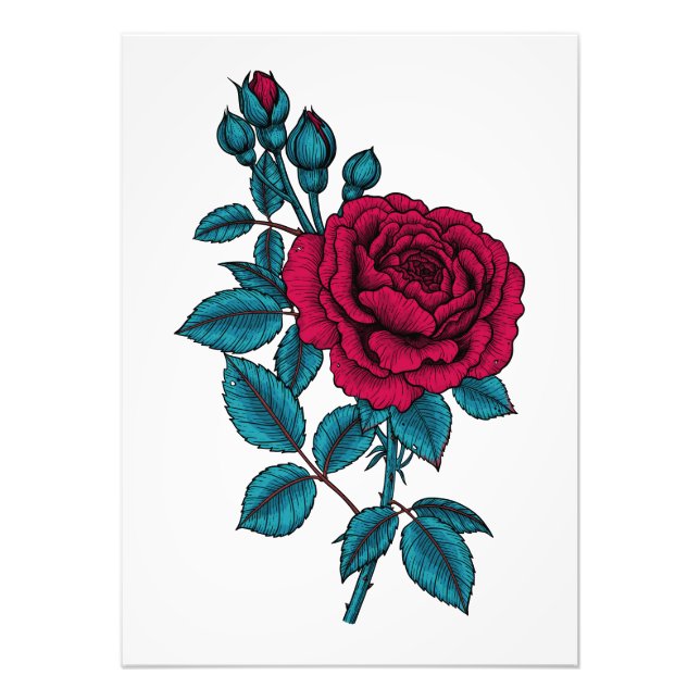 Red rose photo print (Front)