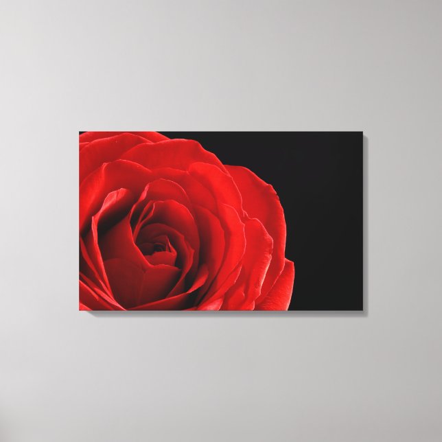 red rose photograph wrapped canvas print (Front)