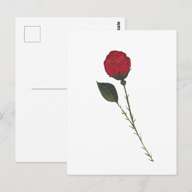 Red Rose Postcard (Front/Back)