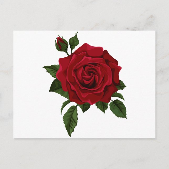 Red rose postcard (Front)