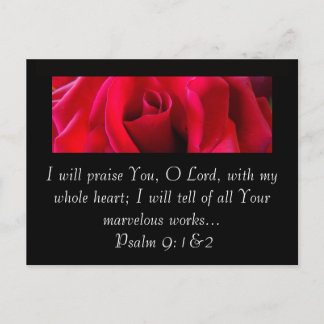 RED ROSE POSTCARD