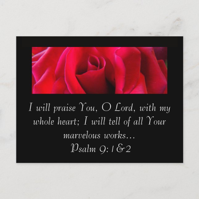 RED ROSE POSTCARD (Front)