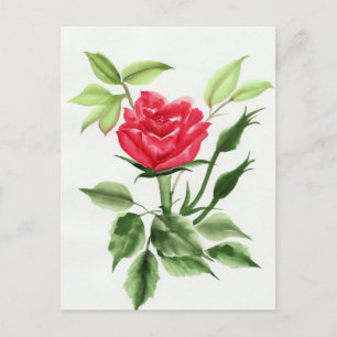 Red Rose Postcard