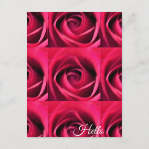 Red Rose Postcard