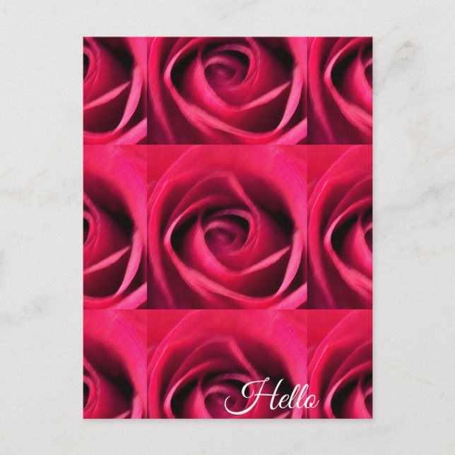 Red Rose Postcard (Front)