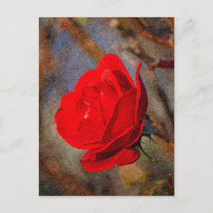 Red Rose Postcard
