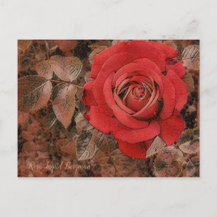 Red Rose [Postcard] Postcard