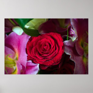 RED ROSE POSTER