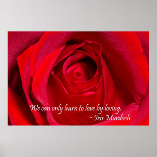 Red Rose Poster
