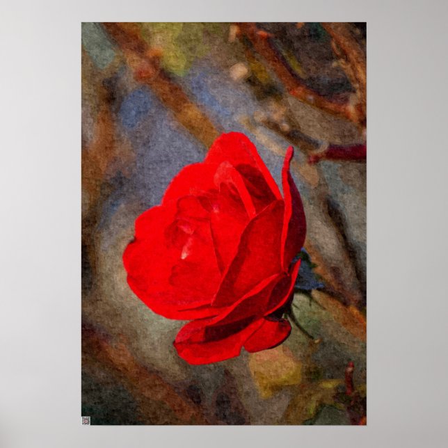 Red Rose Poster (Front)