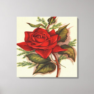 Red Rose  Premium Wrapped Canvas (Gloss)