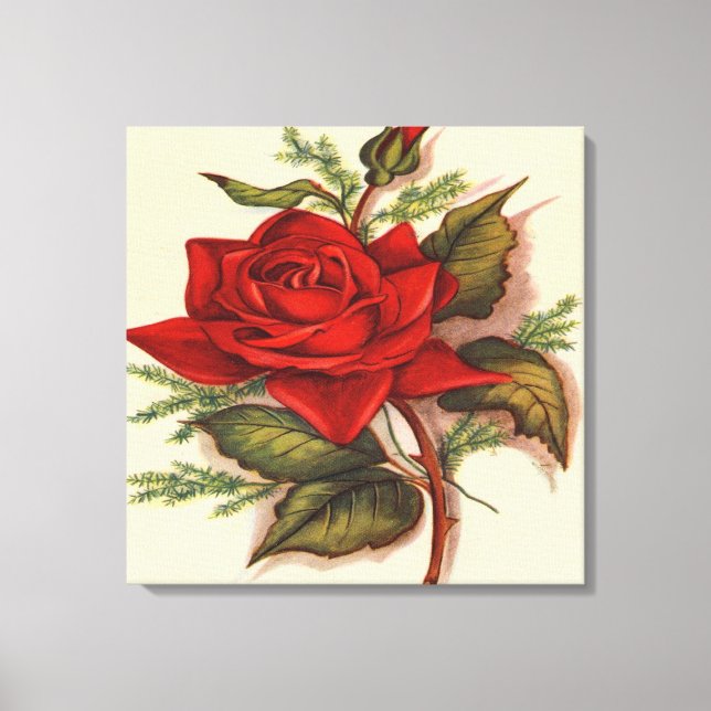 Red Rose  Premium Wrapped Canvas (Gloss) (Front)