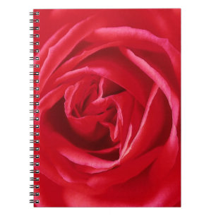 Red rose print notebook