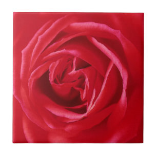 Red rose print tile
