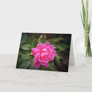 Red Rose & Raindrops, card