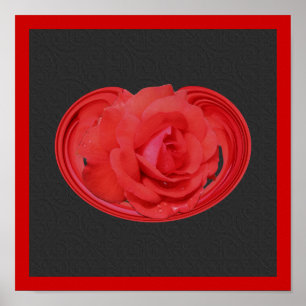 Red Rose Raindrops Design Floral Poster