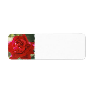 Red Rose Return Address Labels