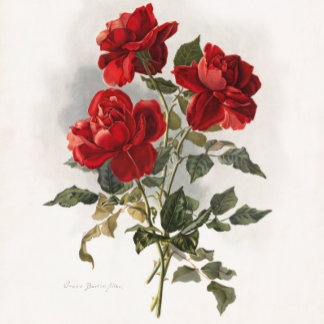  Red Rose ,Romantic Roses. Tote Bag