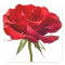 Red Rose - Roses Customised Template