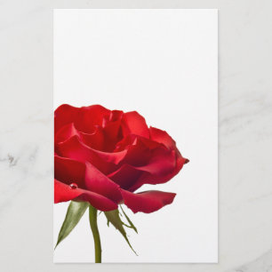 Red Rose - Roses Customised Template Stationery