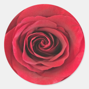 Red Rose Round Shape Stickers