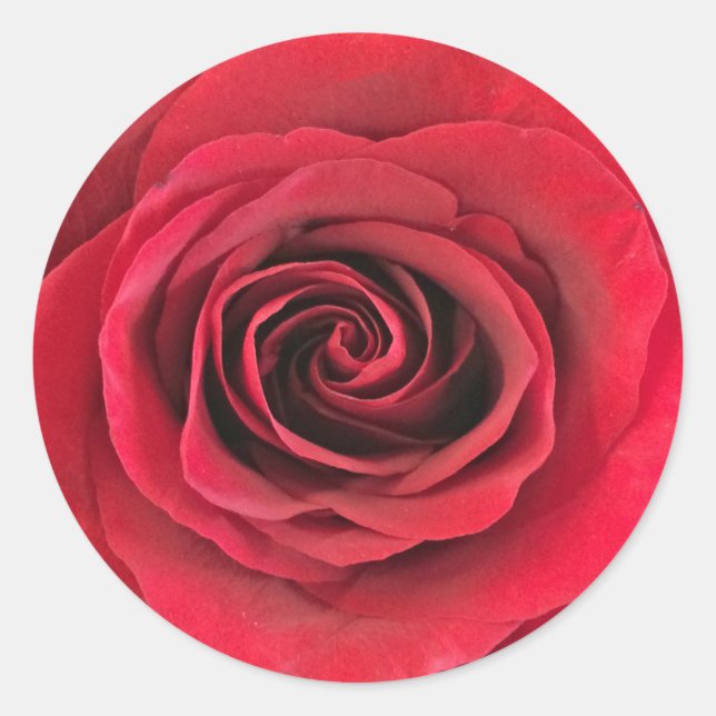 Red Rose Round Shape Stickers (Front)