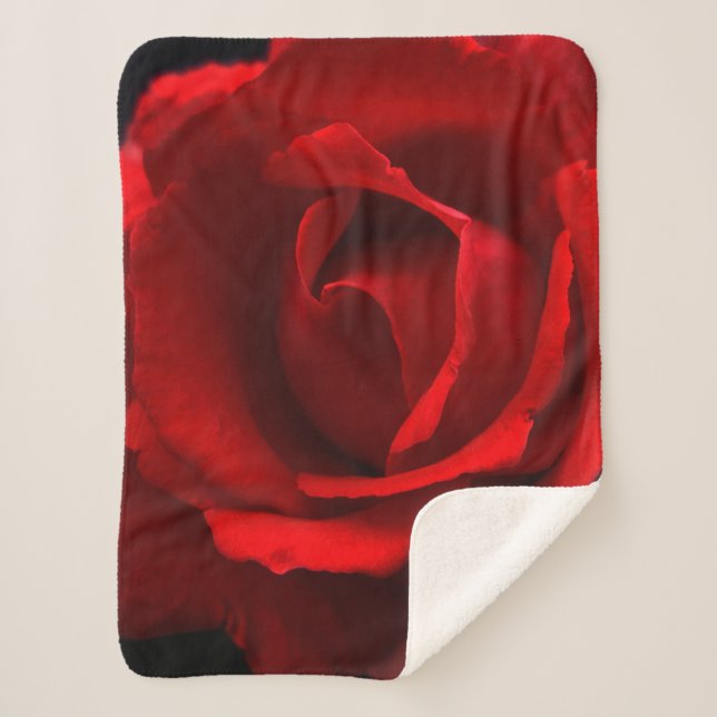 Red Rose sbcna Sherpa Blanket (Front)