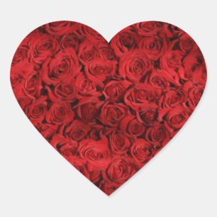 Red Rose Smash Heart Sticker